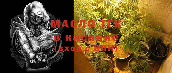 эйфоретик Каменногорск