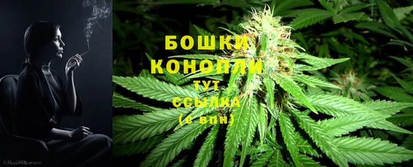 mix Каменка