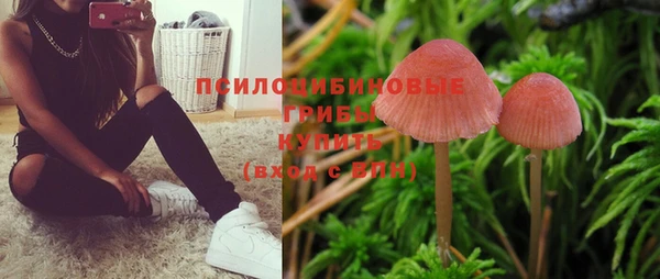 эйфоретик Каменногорск